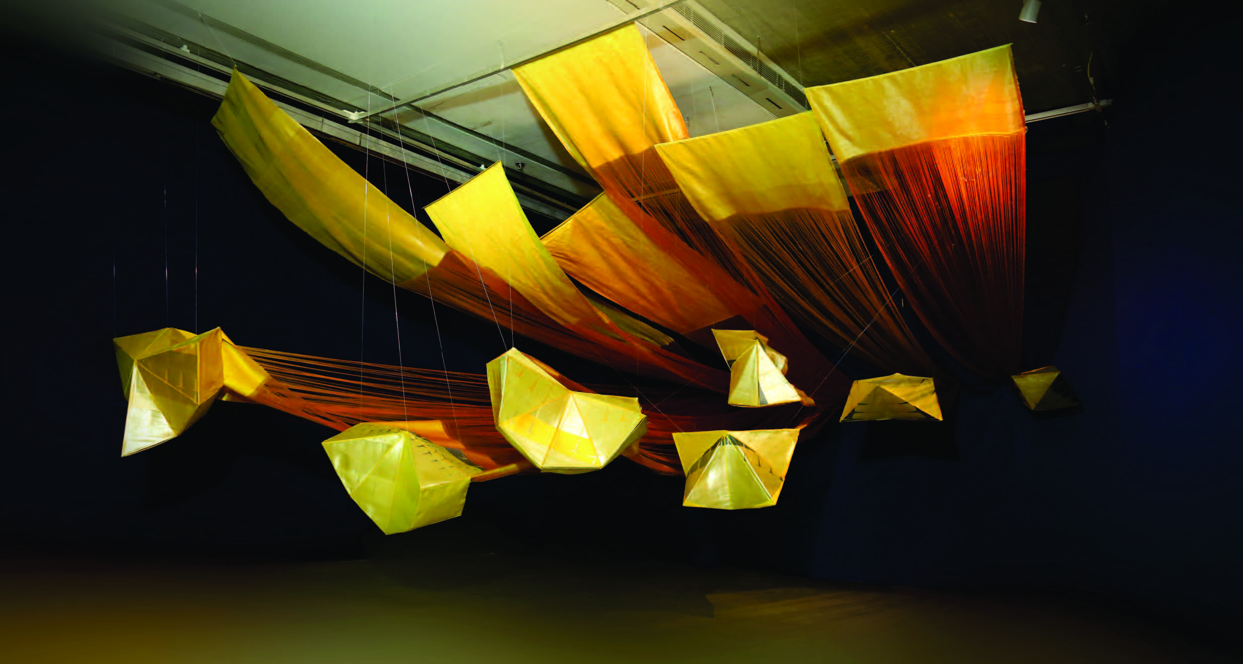 Frames to fame : representing indigenous practices in contemporary times