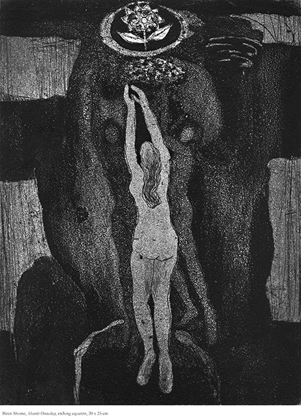 solo print exhibition dhaka art center july 24-28, 2013 man, nature and shakuntala